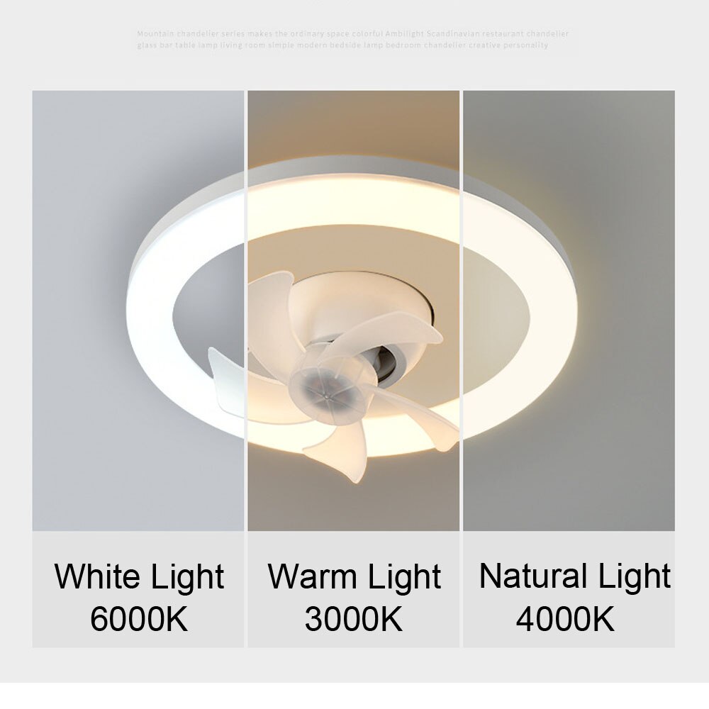 LED Ceiling Fan Lamp